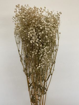 Dried Baby Breath Flowers