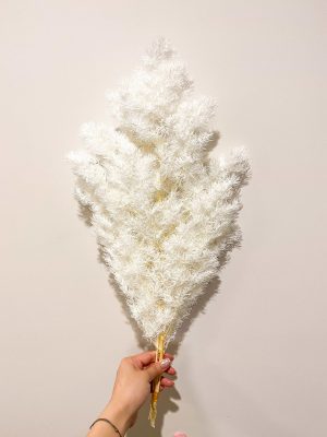 Cream/White Ming Fern