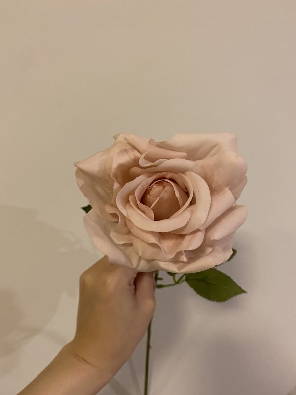 Real Touch Pantone Pale Blush Large Rose - Image 4
