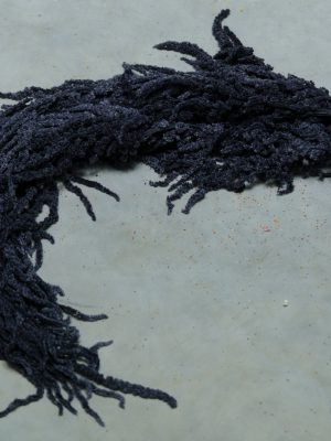 Navy Amaranthus