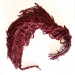 Burgundy Amaranthus