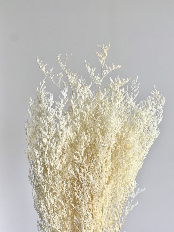 White Sea Lavender (Misty) - Image 2