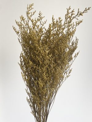 Green Sea Lavender (Misty)