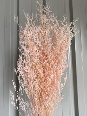 Pink Sea Lavender (Misty)