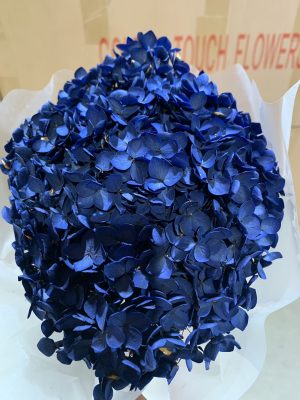 Royal Blue Hydrangea