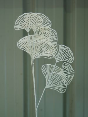 White Gingko leaves stem