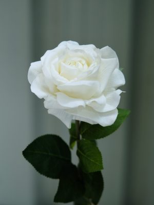 Real Touch Faux White Large Rose Stem