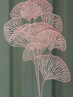 Pink Gingko leaves stem