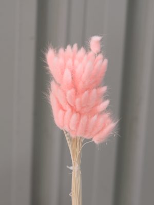 Pink Bunny's Tail