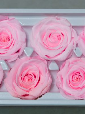 Pink Rose Heads - 6 pack