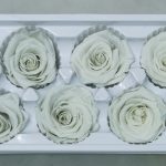 Antique White Rose Heads - 6 pack