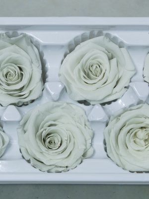 Antique White Rose Heads - 6 pack