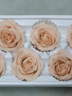 Peach Rose Heads - 6 pack