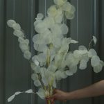 Off-White Eucalyptus Leaves