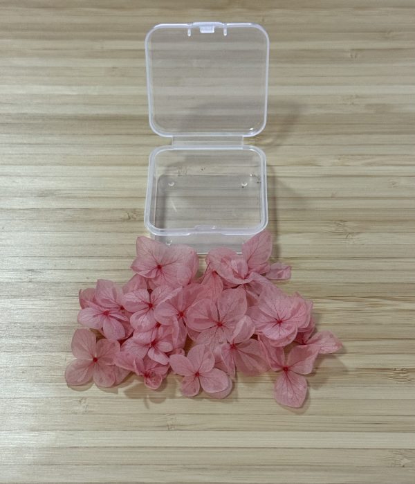 Assorted Hydrangea Petal Pieces - Image 8