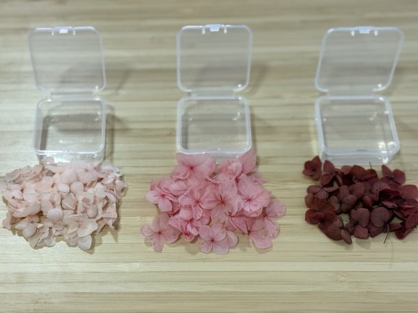 Assorted Hydrangea Petal Pieces - Image 7