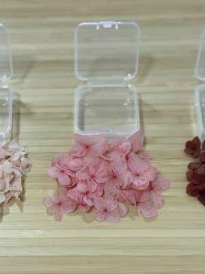 Assorted Hydrangea Petal Pieces