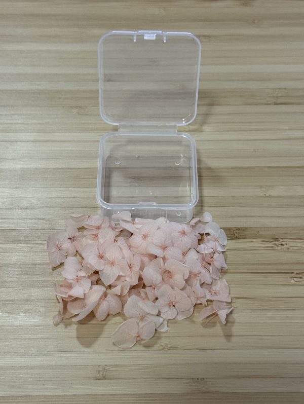 Assorted Hydrangea Petal Pieces - Image 6