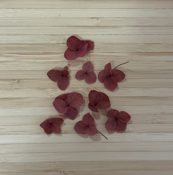 Assorted Hydrangea Petal Pieces - Image 4