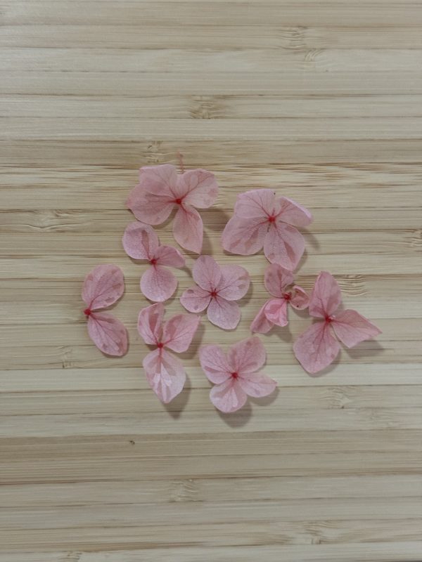 Assorted Hydrangea Petal Pieces - Image 3